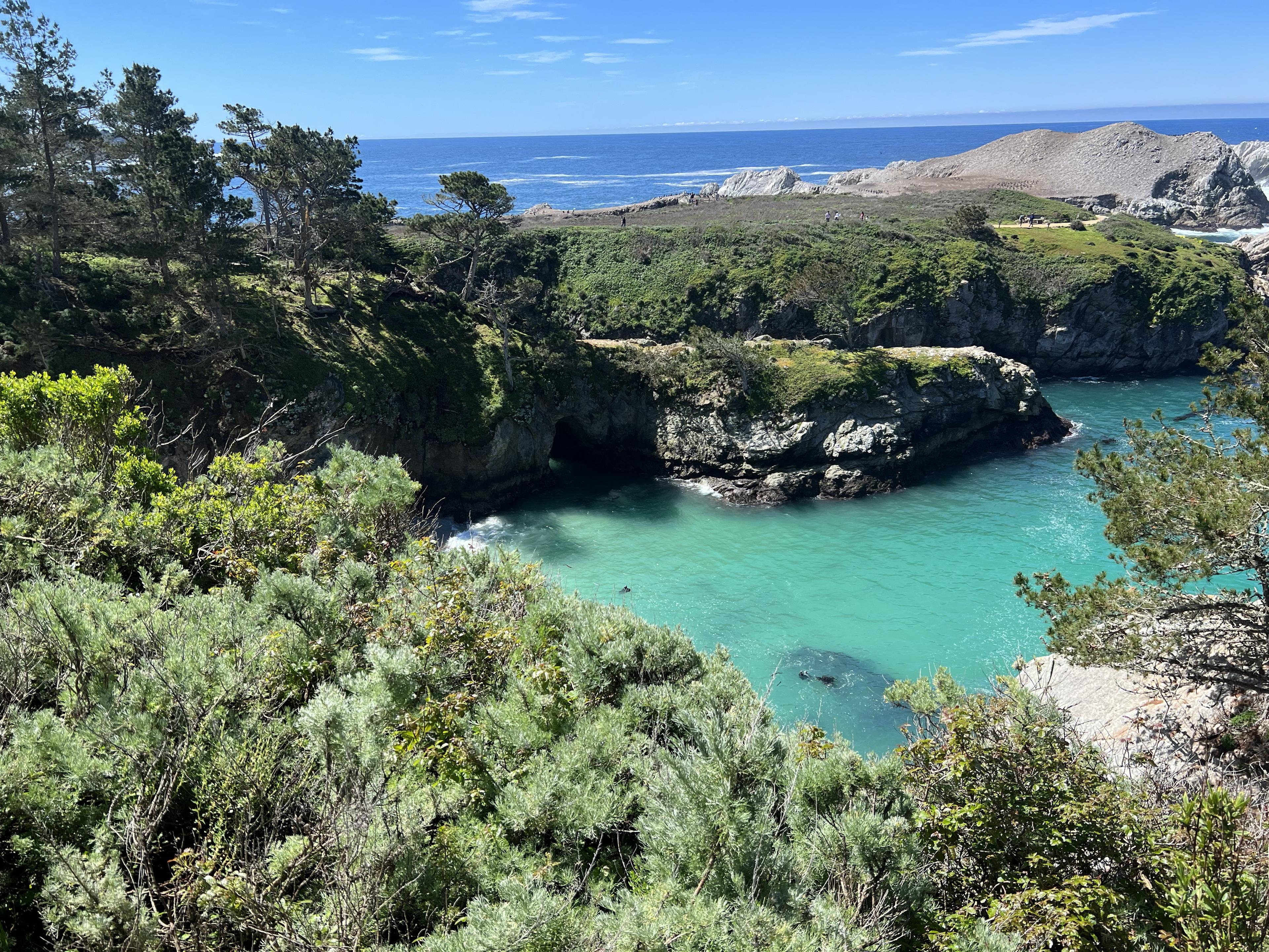 Hiking scenery on the Bird Island Trail at Point Lobos