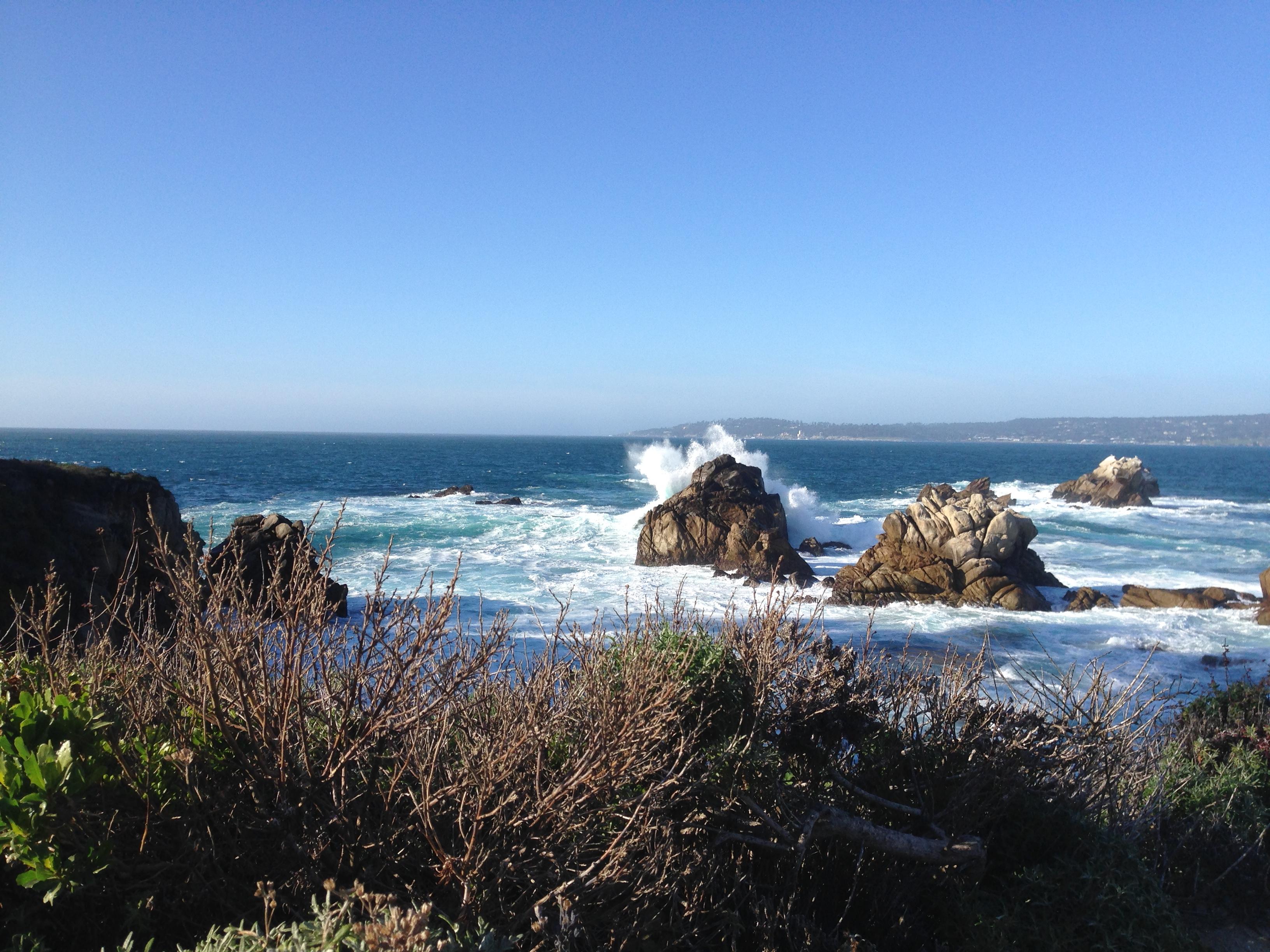 Hiking scenery on the Granite Point Trail at Point Lobos