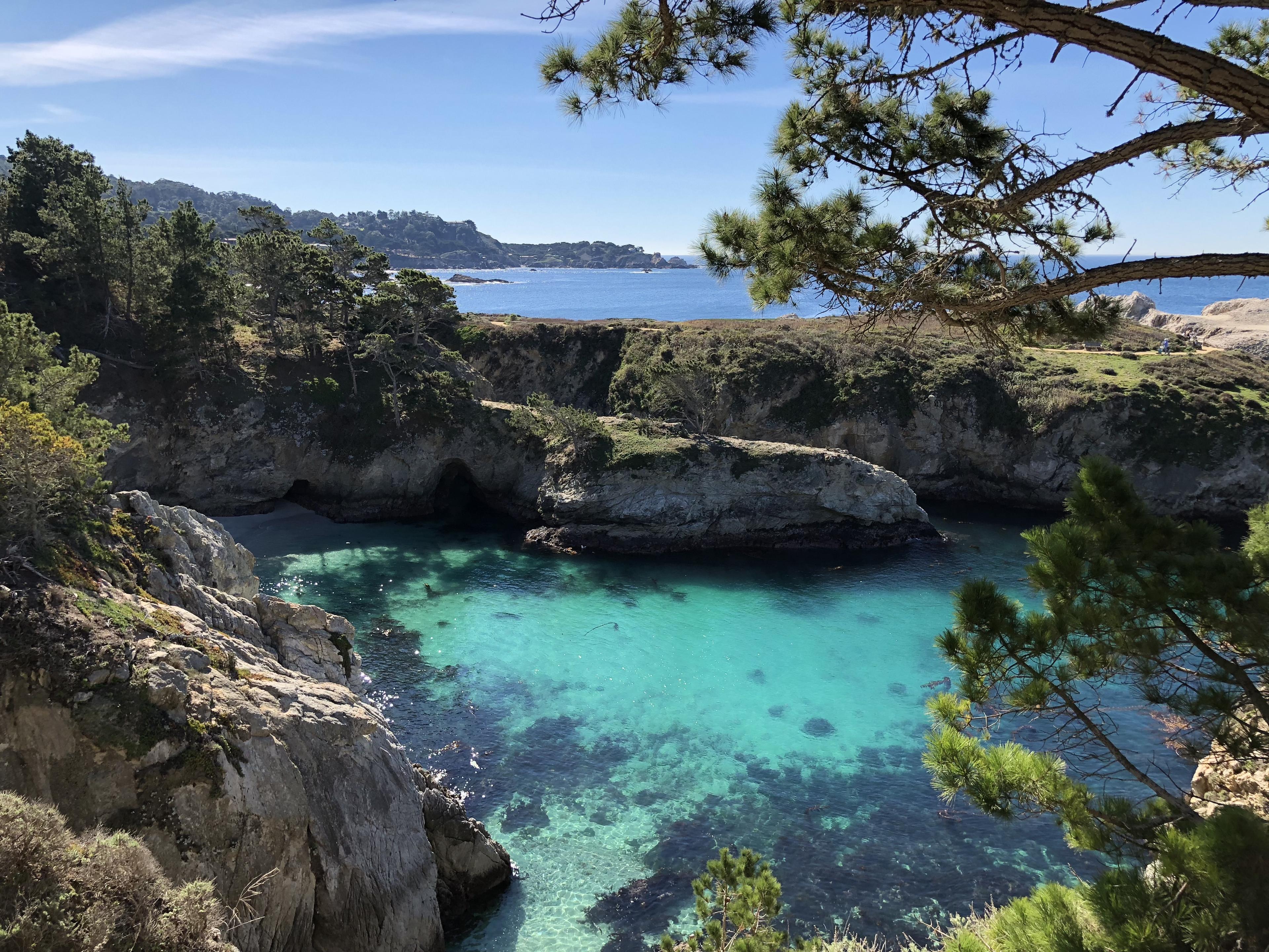 Point Lobos coastline with cypress trees