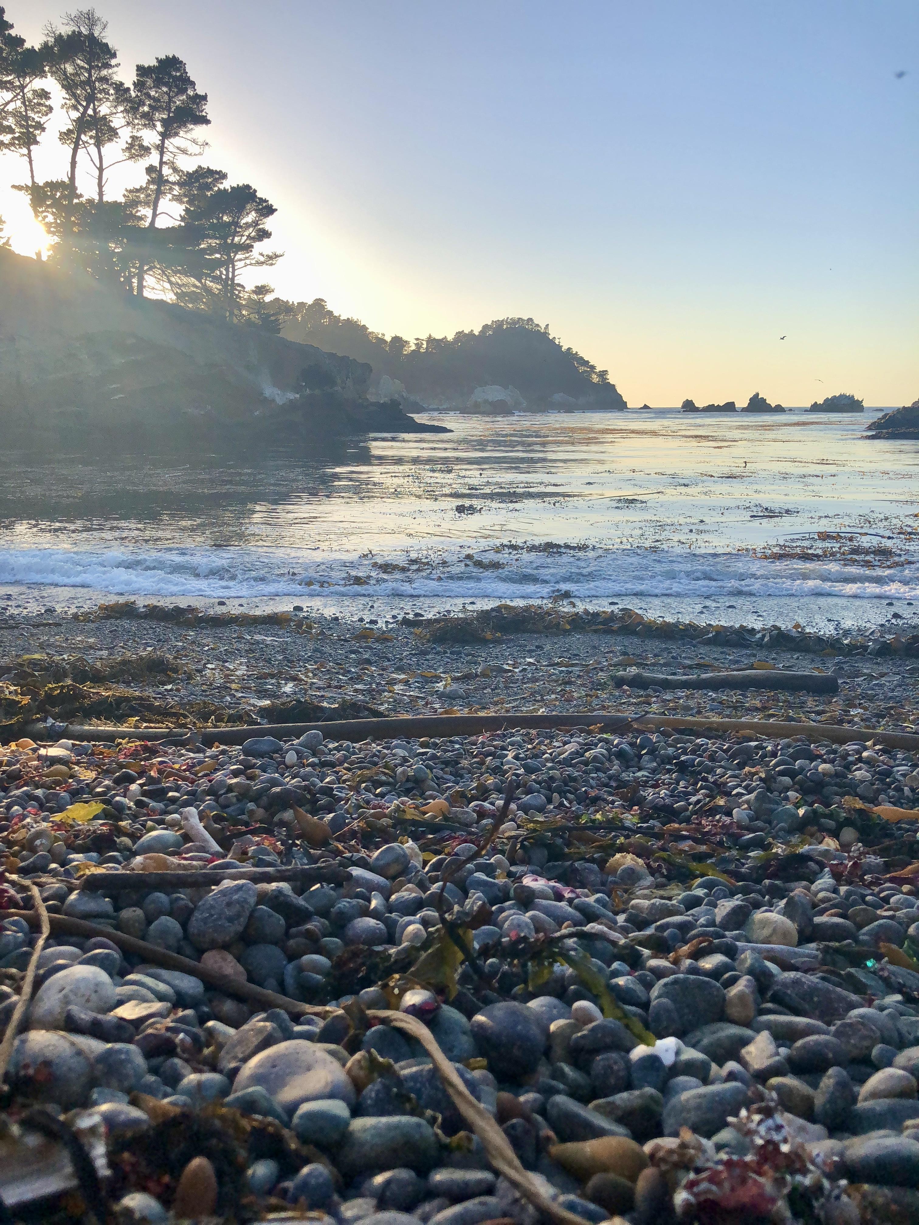 Hiking scenery on the North Shore Trail at Point Lobos