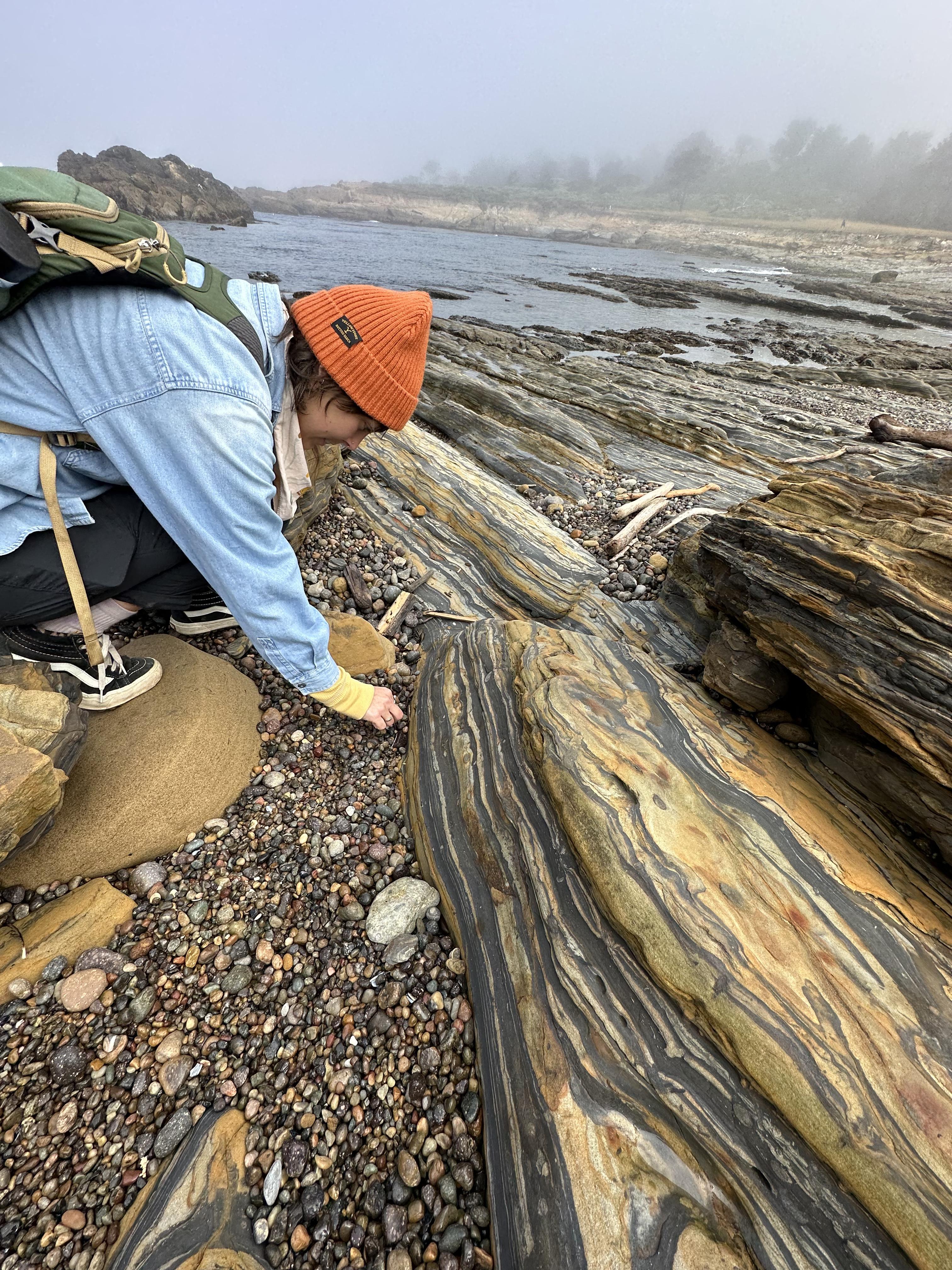 Hiking scenery on the South Shore Trail at Point Lobos